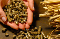 free Craighead biomass boiler quotes